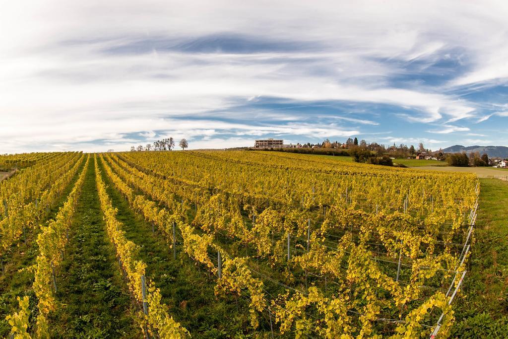 ホテル Trippelgut - Schlafgut Feldkirchen in Kärnten エクステリア 写真