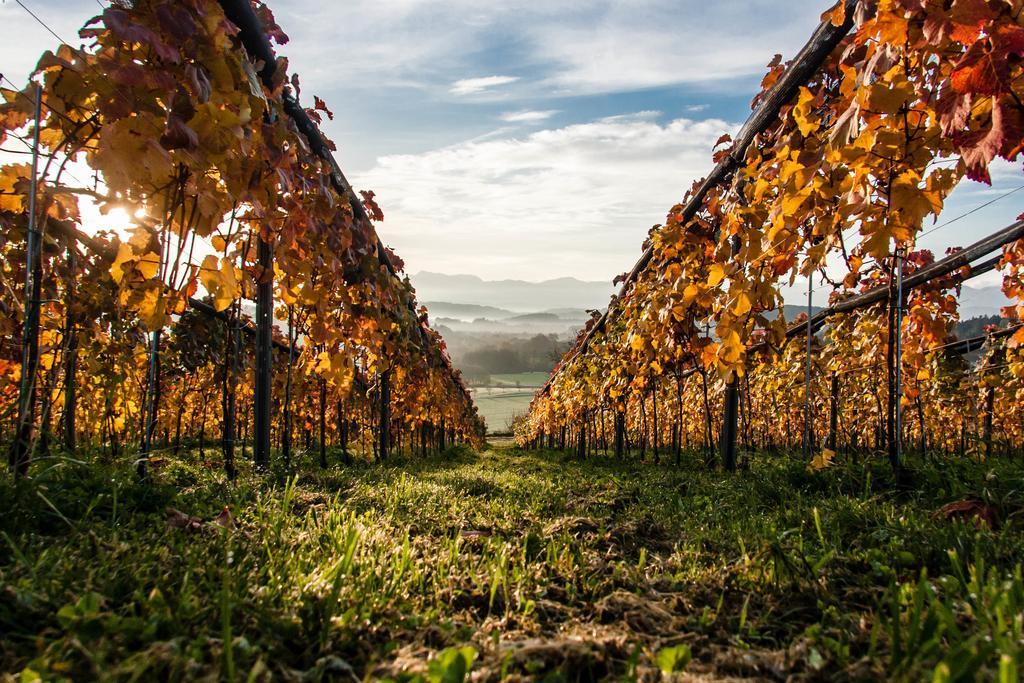 ホテル Trippelgut - Schlafgut Feldkirchen in Kärnten エクステリア 写真